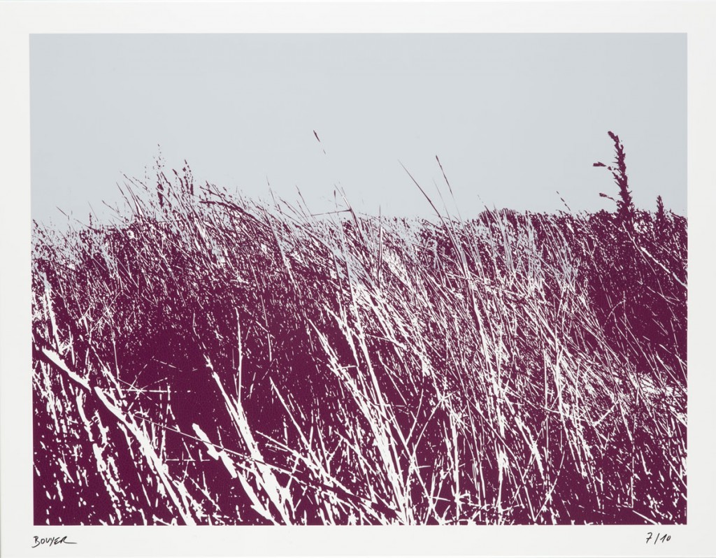 Date of creation: october 2010
Technique: screenprint on metal
Numbered and signed edition: ten specimens
Size: 74,5 x 57,6 cm